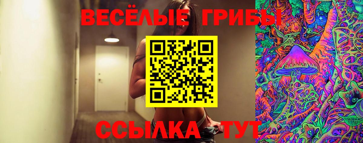 Псилоцибиновые грибы прущие грибы  Вход с VPN  Майский 